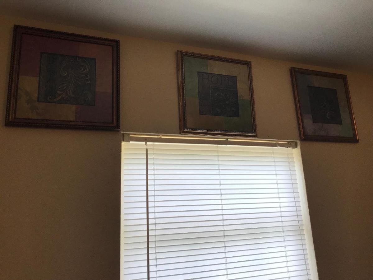 Great Location Near Downtown & Airport Villa Tampa Kültér fotó